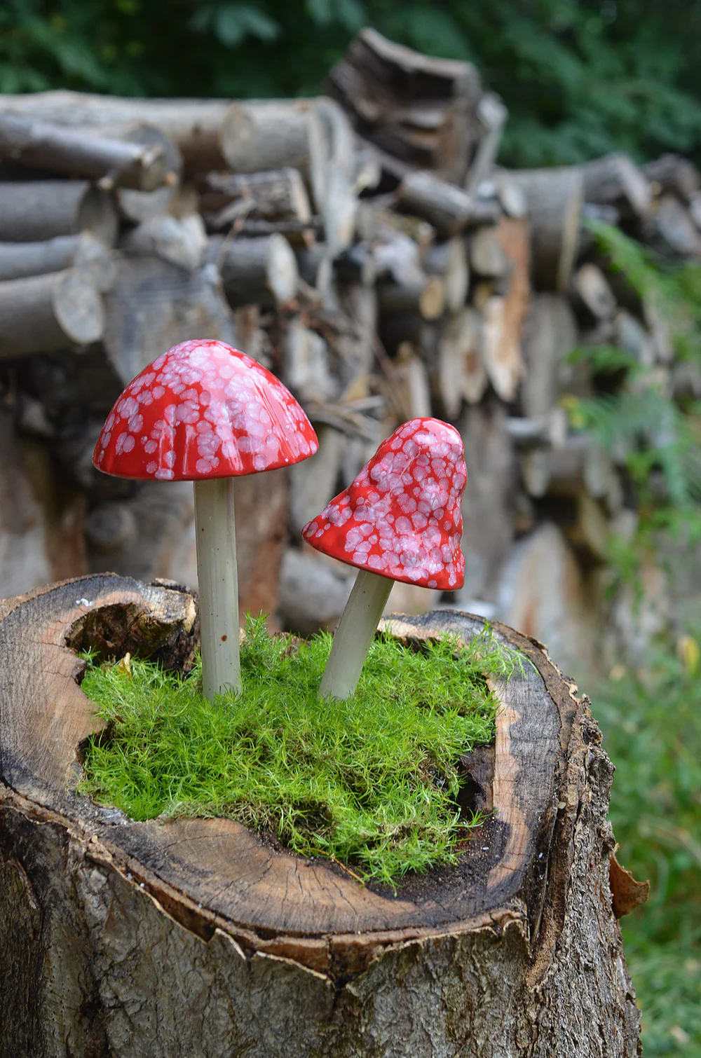 Shroomyz – Funtasmic Collection – Red Planet - Image 4 of 5 | Garden Decor