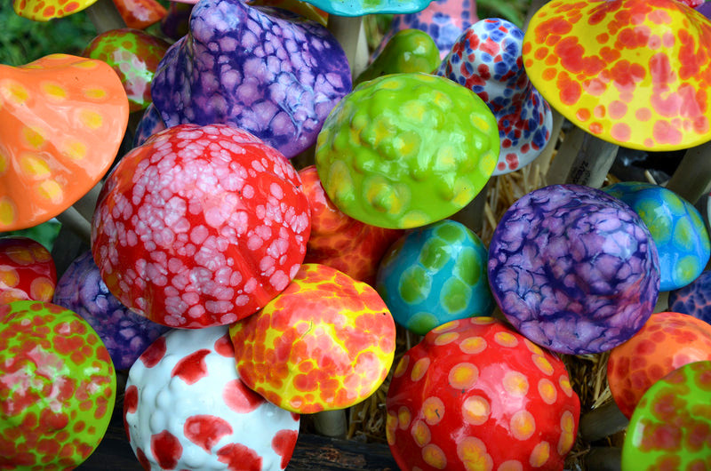 Colorful Shroomyz garden mushrooms