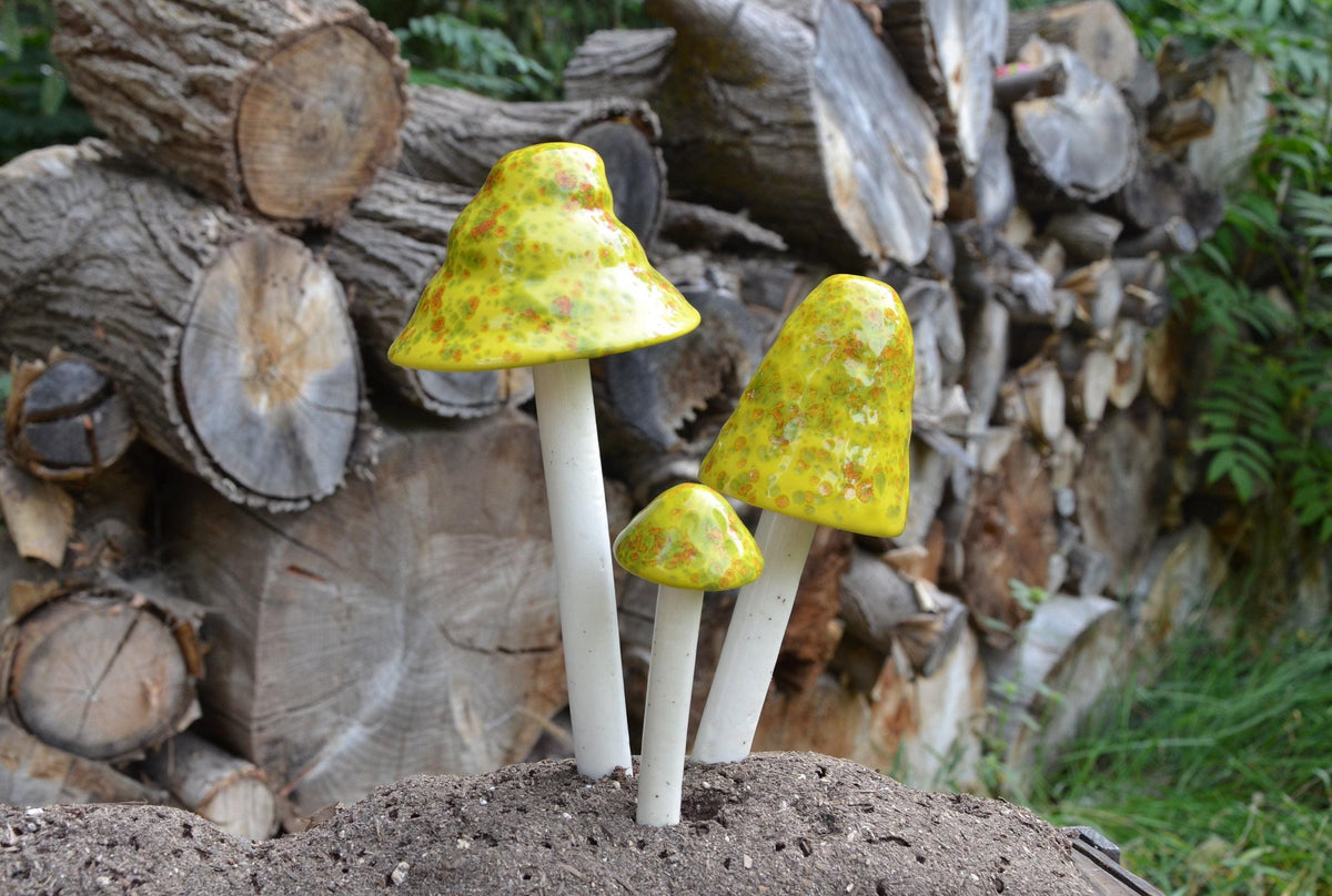 Shroomyz – Funtasmic Collection – Lemon Lime - Image 1 of 7 | Garden Decor