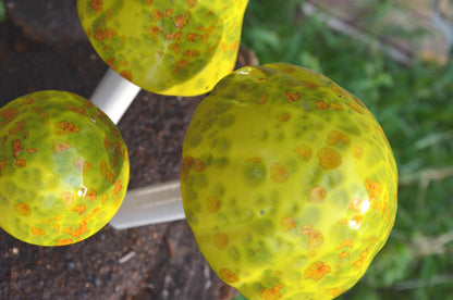 Shroomyz – Funtasmic Collection – Lemon Lime - Image 3 of 7 | Garden Decor