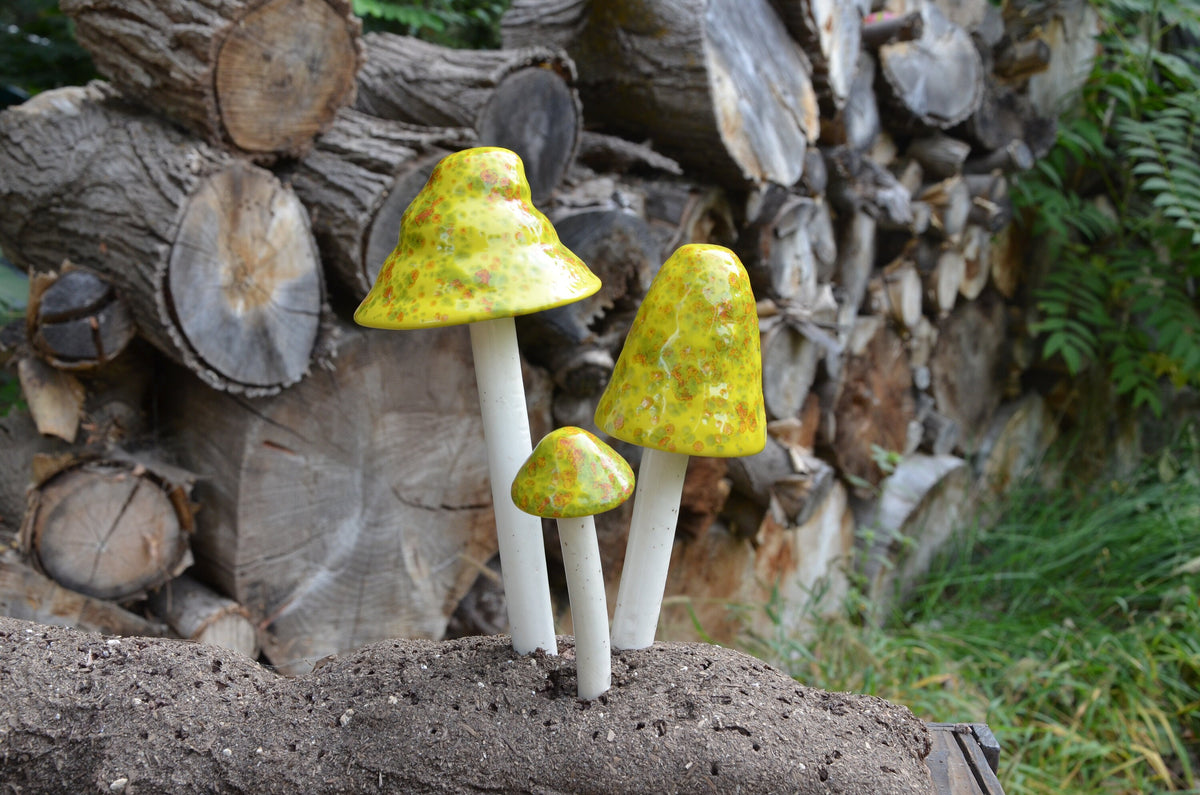 Shroomyz – Funtasmic Collection – Lemon Lime - Image 4 of 7 | Garden Decor