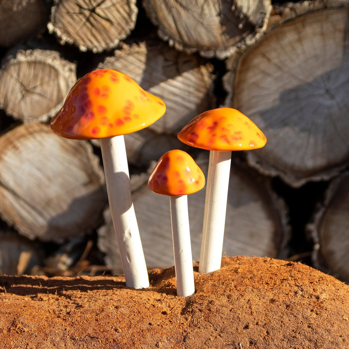 Shroomyz – Funtasmic Collection – Mango Madness - Image 1 of 5 | Garden Decor