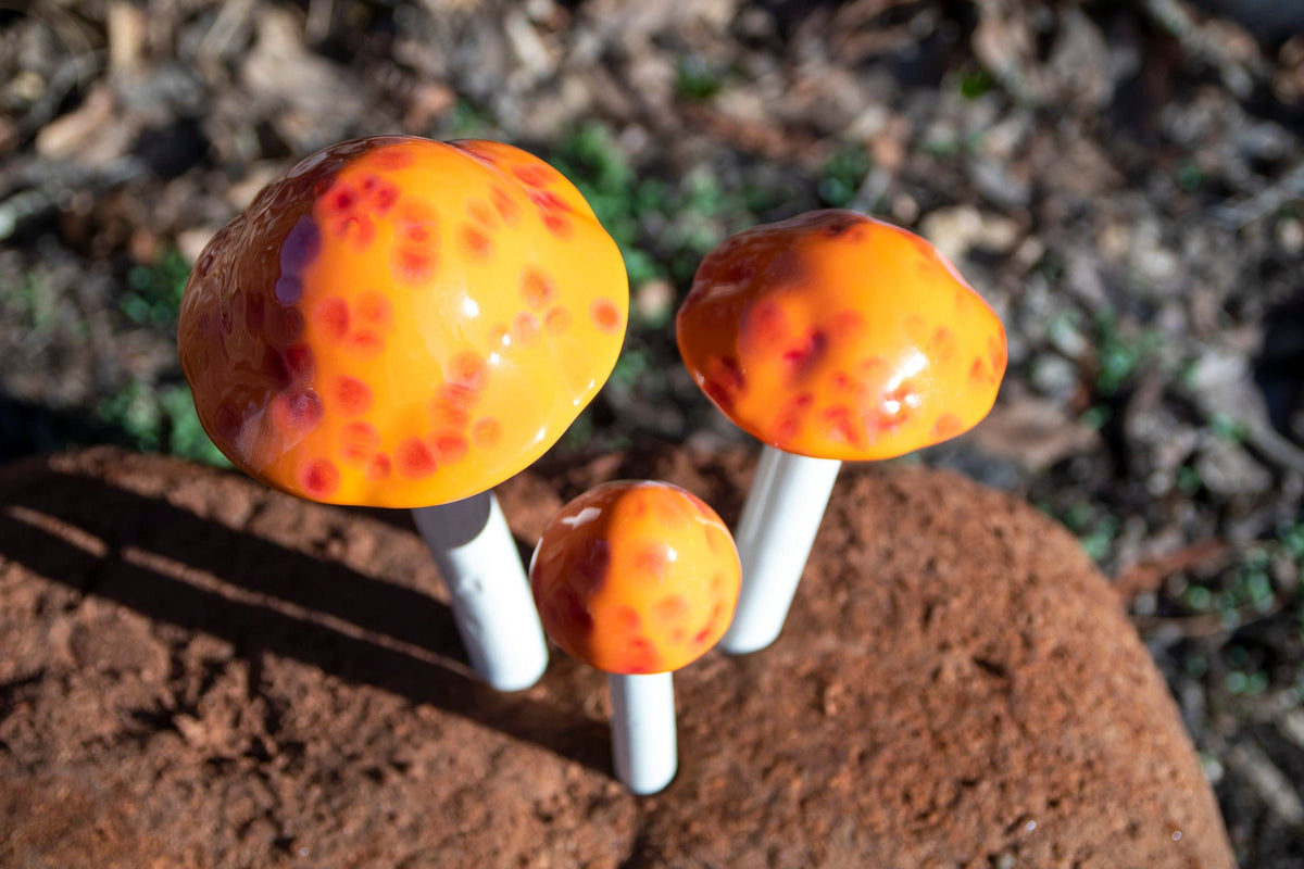 Shroomyz – Funtasmic Collection – Mango Madness - Image 2 of 5 | Garden Decor