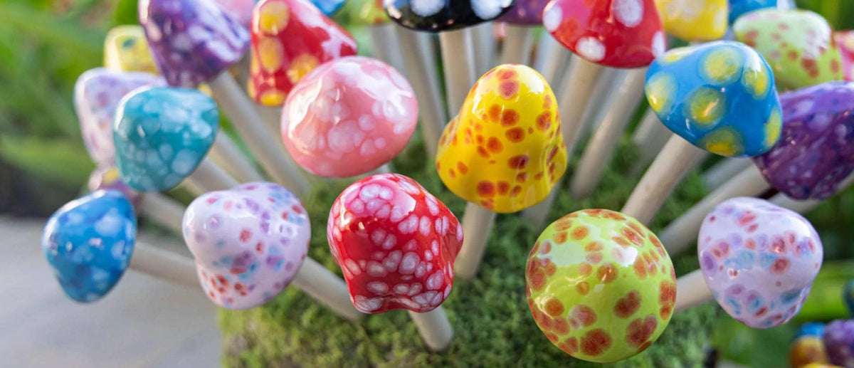 Shroomyz – Micro Pack - Image 8 of 10 | Garden Decor