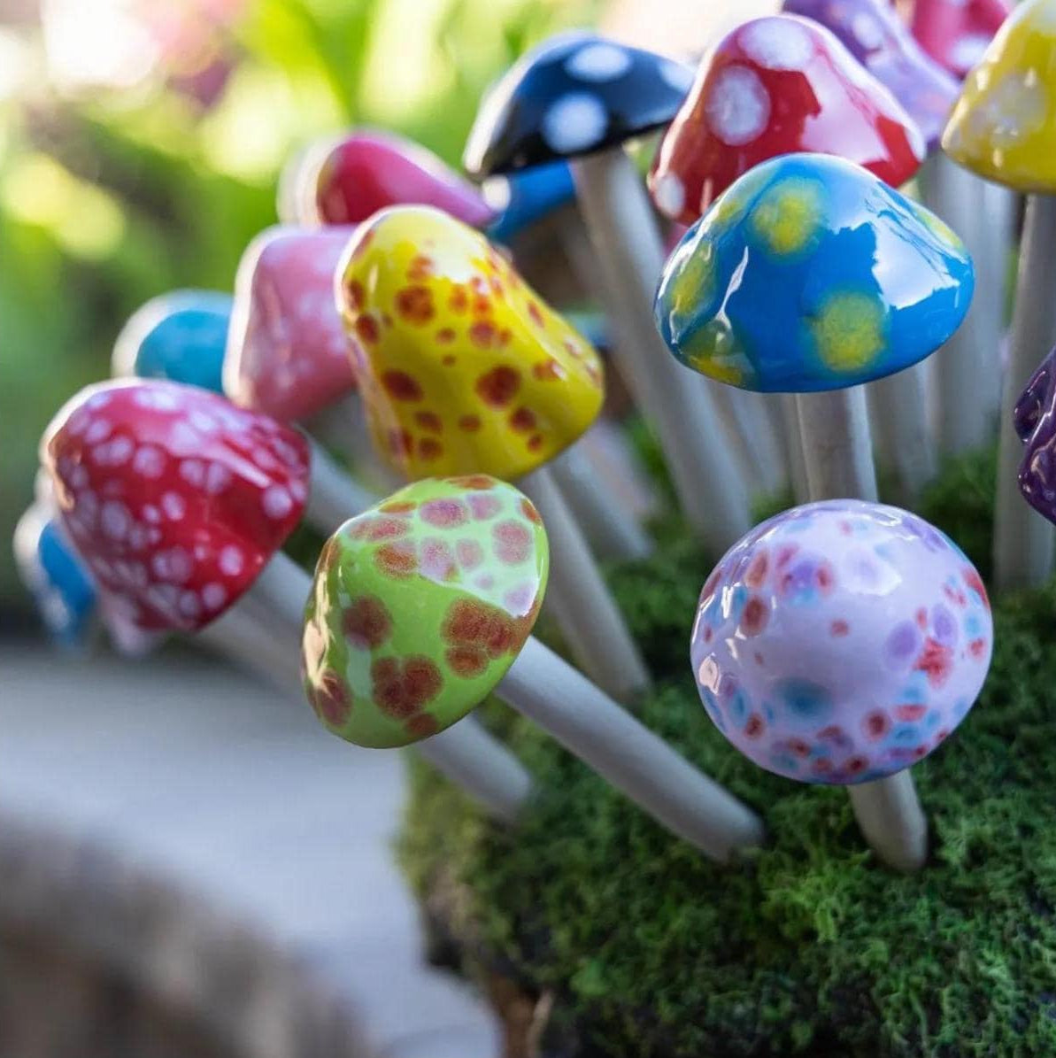 Shroomyz – Micro Pack - Image 1 of 10 | Garden Decor