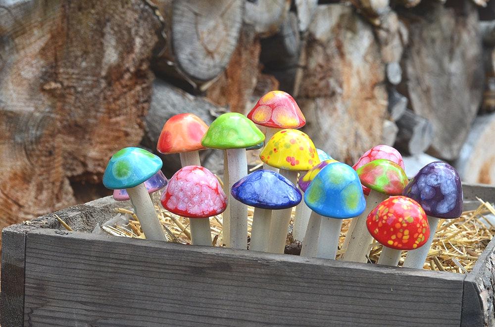 Shroomyz – Micro Pack - Image 6 of 10 | Garden Decor