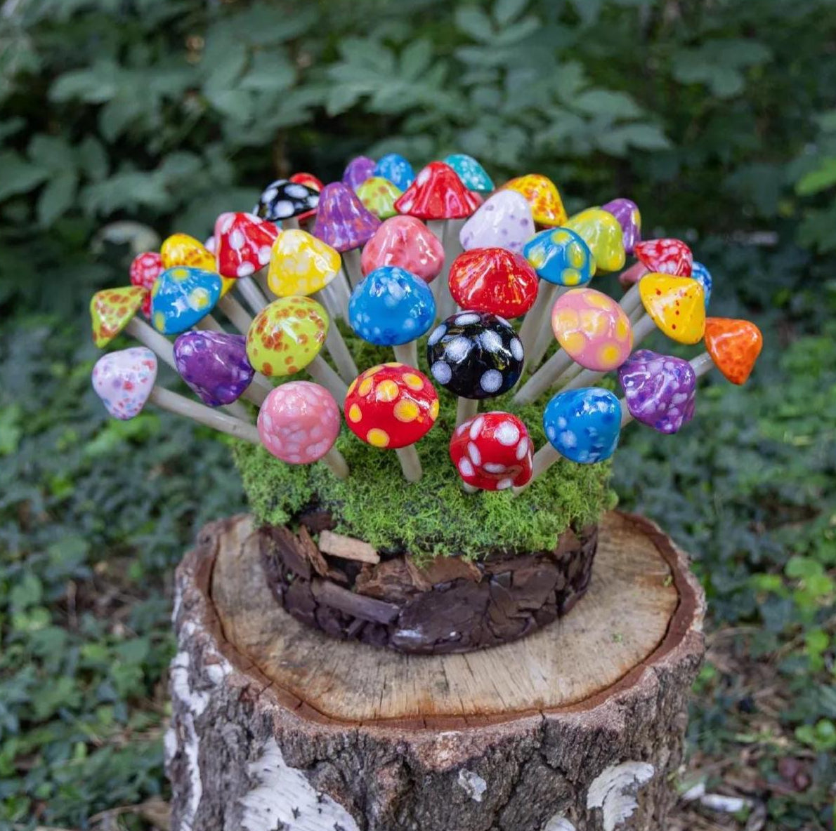 Shroomyz – Micro Pack - Image 3 of 10 | Garden Decor