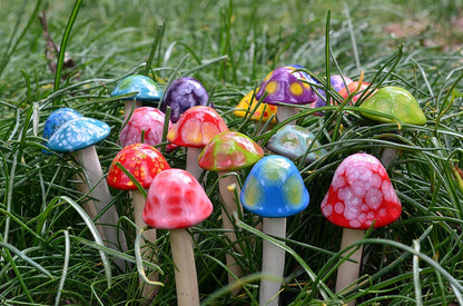 Shroomyz – Micro Pack - Image 7 of 10 | Garden Decor