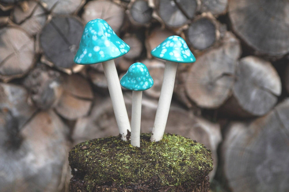 Shroomyz – Funtasmic Collection – Mint Burst - Image 1 of 7 | Garden Decor