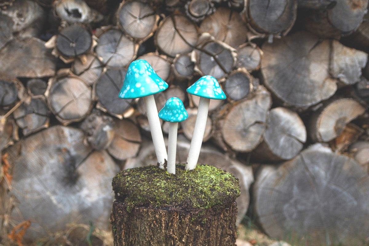 Shroomyz – Funtasmic Collection – Mint Burst - Image 5 of 7 | Garden Decor