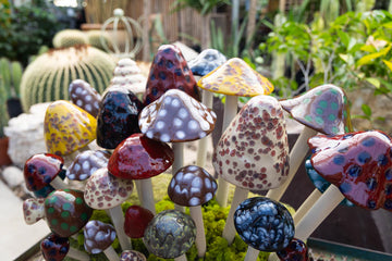 Shroomyz – Natural Collection – Variety Pack - Image 2 of 3 | Garden Decor