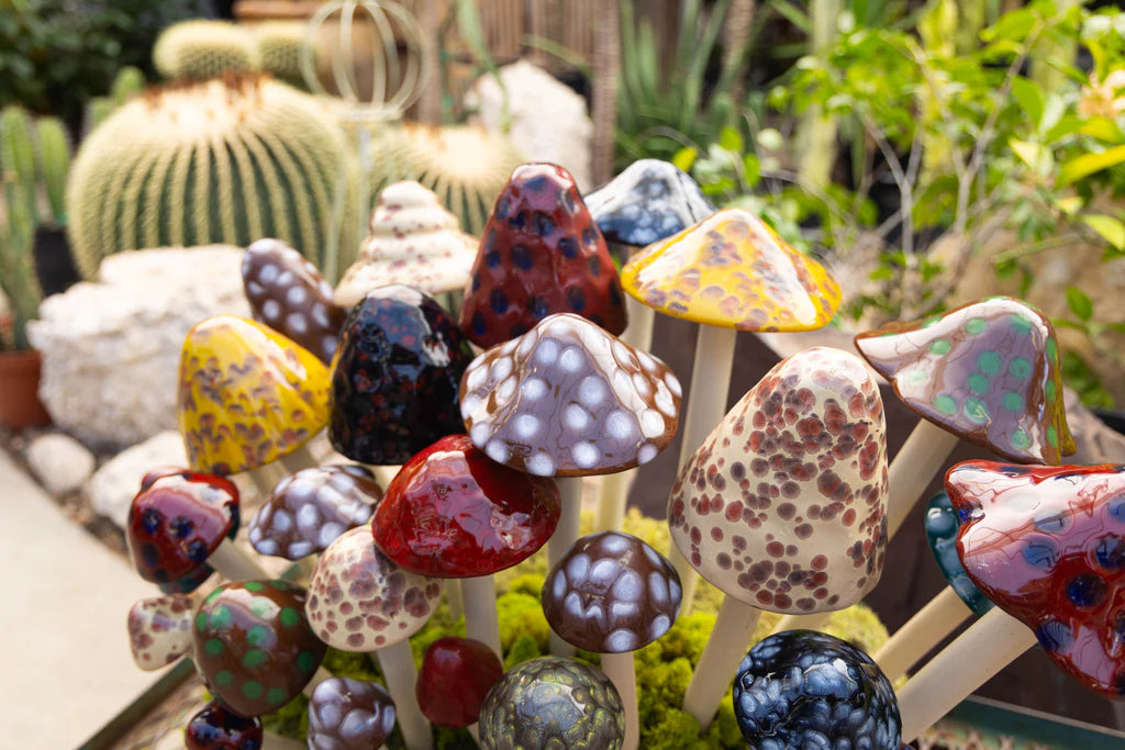 Shroomyz – Natural Collection – Variety Pack - Image 3 of 3 | Garden Decor