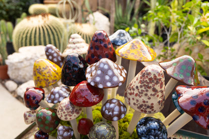 Shroomyz – Natural Collection – Variety Pack - Image 3 of 3 | Garden Decor