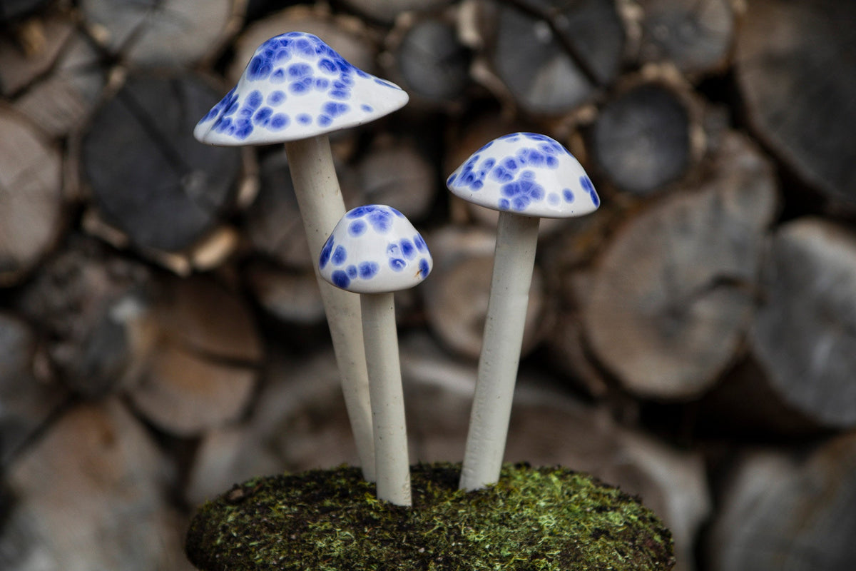 Shroomyz – Crystal Collection – Old English - Image 1 of 5 | Garden Decor