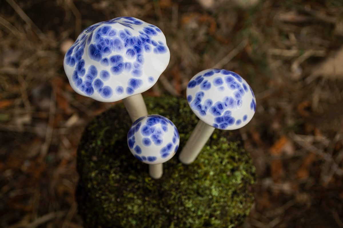 Shroomyz – Crystal Collection – Old English - Image 2 of 5 | Garden Decor