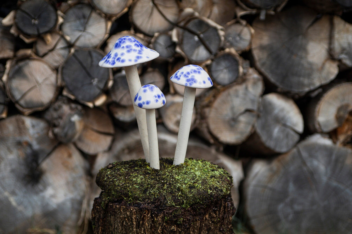 Shroomyz – Crystal Collection – Old English - Image 3 of 5 | Garden Decor