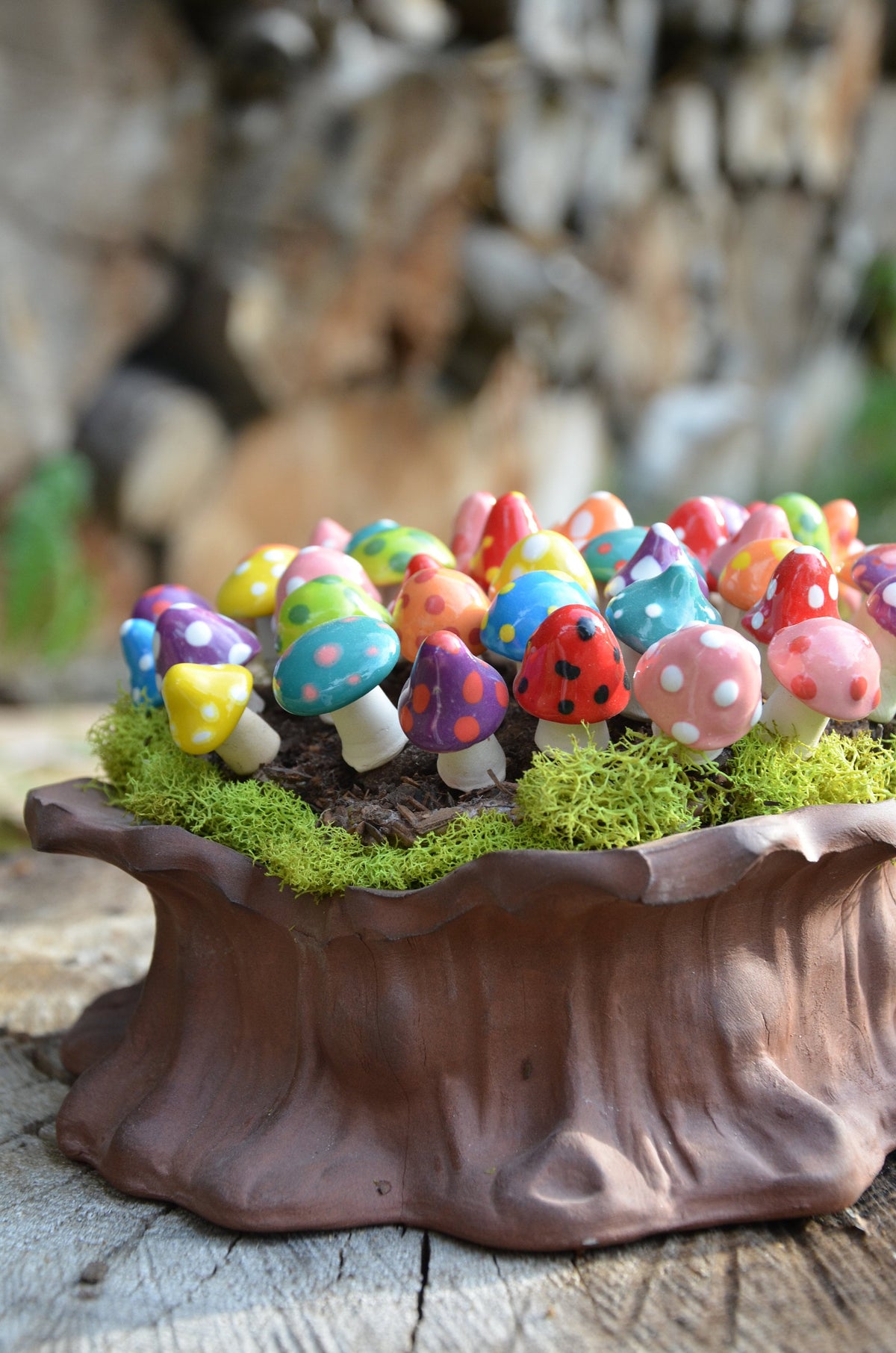 Shroomyz – Pico Pack - Image 4 of 10 | Garden Decor