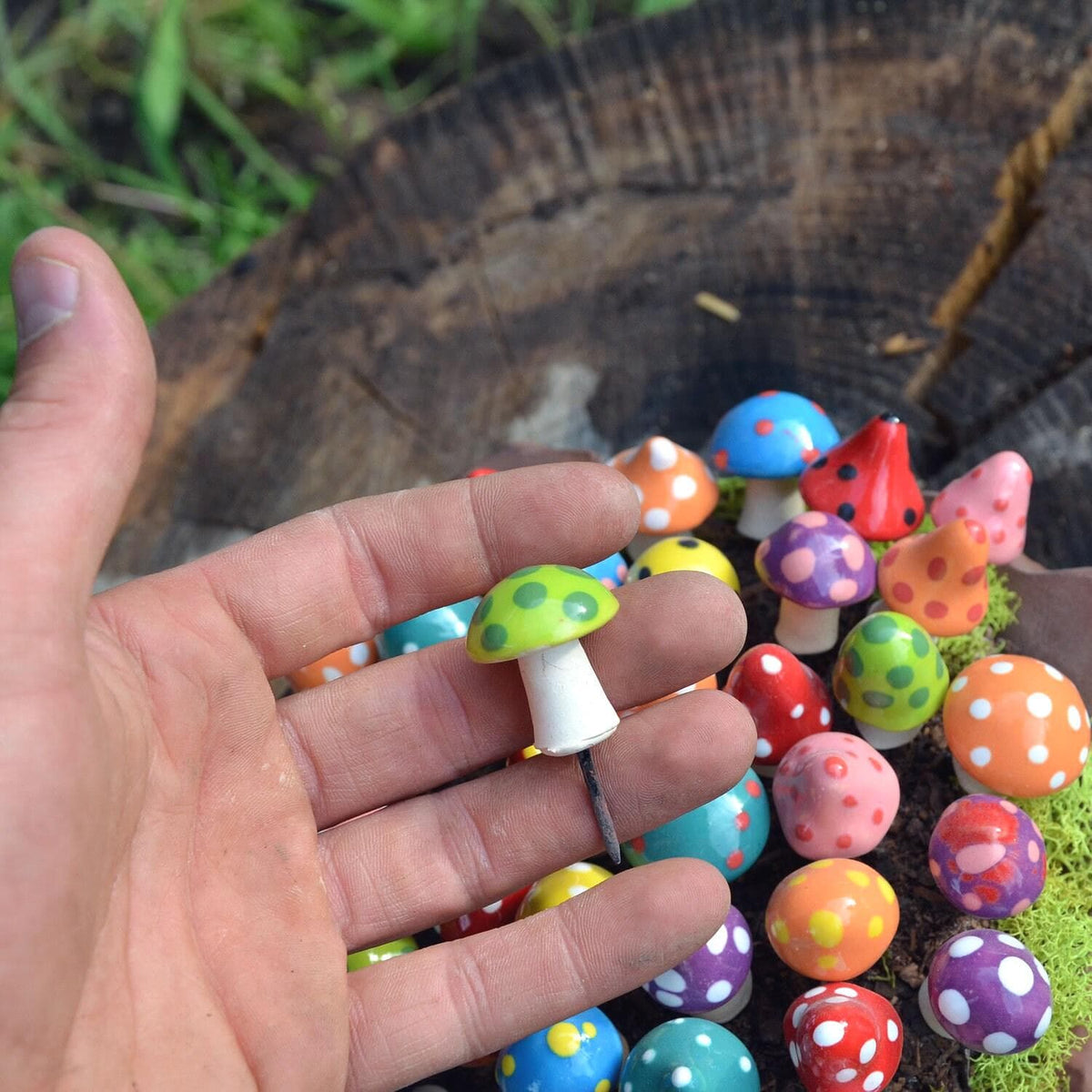 Shroomyz – Pico Pack - Image 3 of 10 | Garden Decor