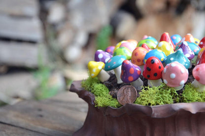 Shroomyz – Pico Pack - Image 9 of 10 | Garden Decor