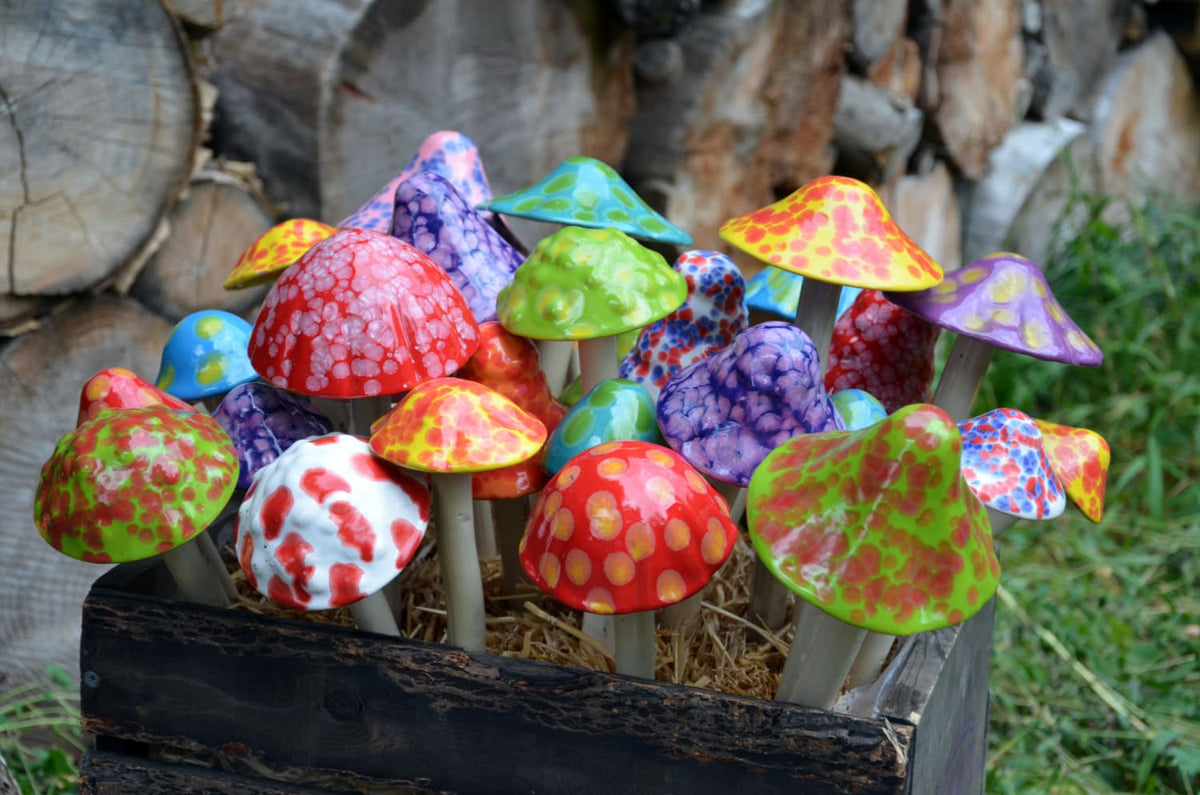Shroomyz – Funtasmic Collection – Pink Berry - Image 7 of 8 | Garden Decor