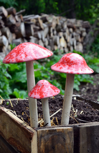 Shroomyz – Funtasmic Collection – Pink Cherry - Image 5 of 8 | Garden Decor