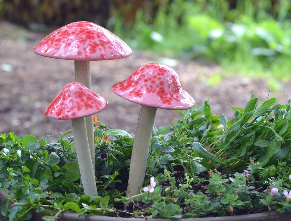 Shroomyz – Funtasmic Collection – Pink Cherry - Image 6 of 8 | Garden Decor