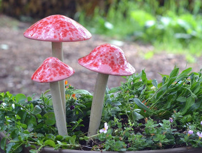 Shroomyz – Funtasmic Collection – Pink Cherry - Image 6 of 8 | Garden Decor