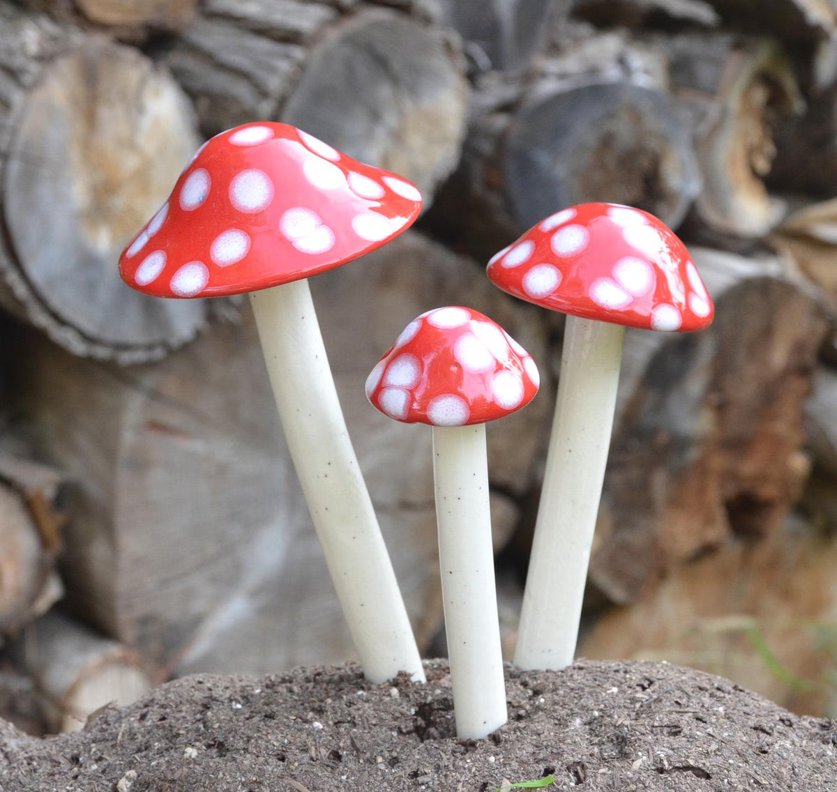 Shroomyz – Funtasmic Collection – Red Polka Dot Variety Pack - Image 1 of 5 | Garden Decor