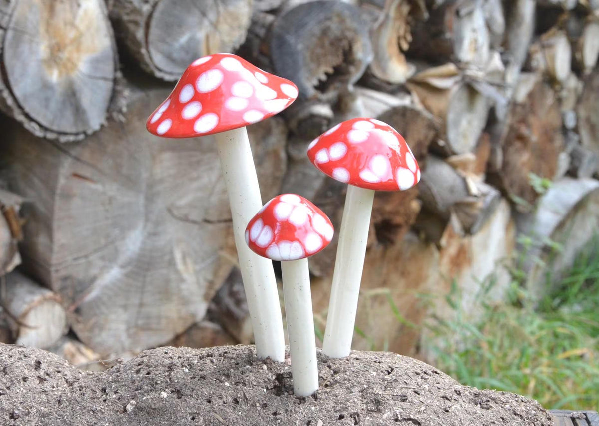 Shroomyz – Funtasmic Collection – Red Polka Dot Variety Pack - Image 5 of 5 | Garden Decor