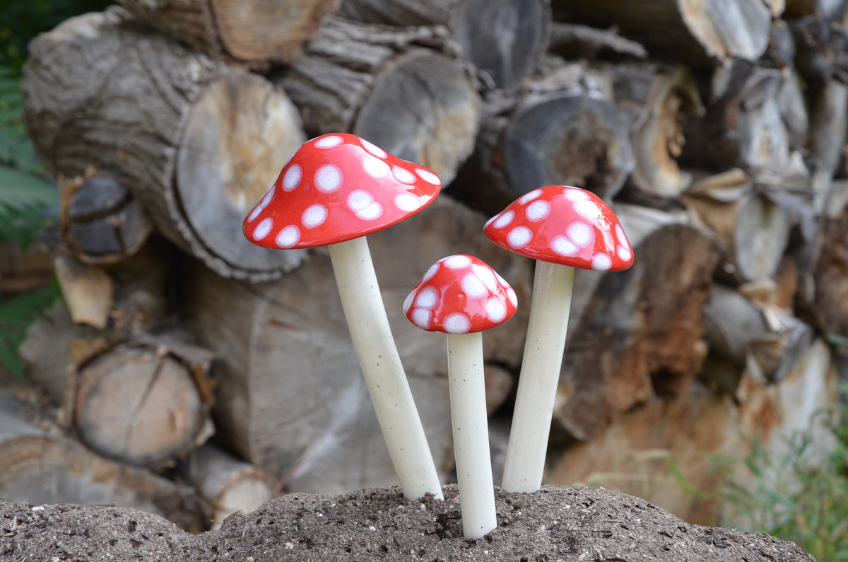 Shroomyz – Funtasmic Collection – Red Polka Dot - Image 3 of 9 | Garden Decor