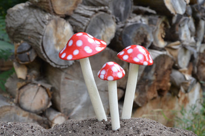 Shroomyz – Funtasmic Collection – Red Polka Dot - Image 3 of 9 | Garden Decor