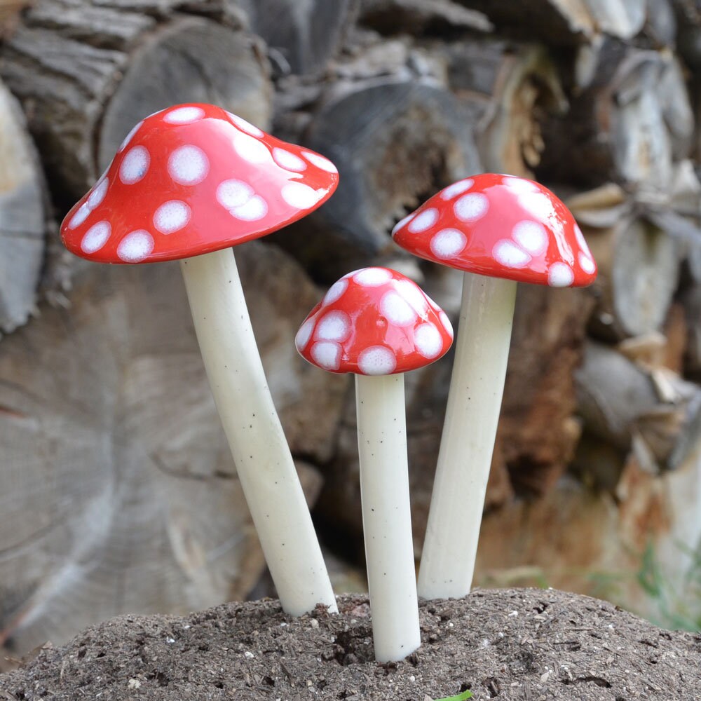 Shroomyz – Funtasmic Collection – Red Polka Dot - Image 5 of 9 | Garden Decor