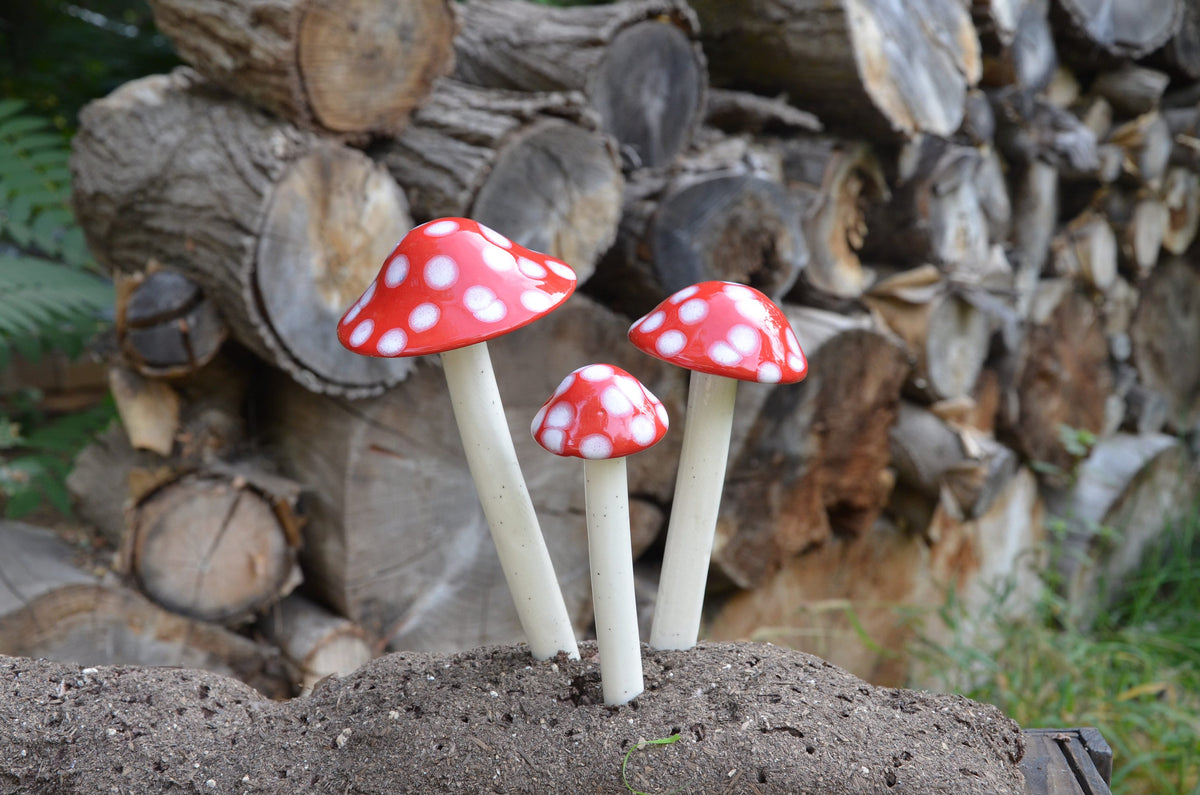 Shroomyz – Funtasmic Collection – Red Polka Dot - Image 7 of 9 | Garden Decor