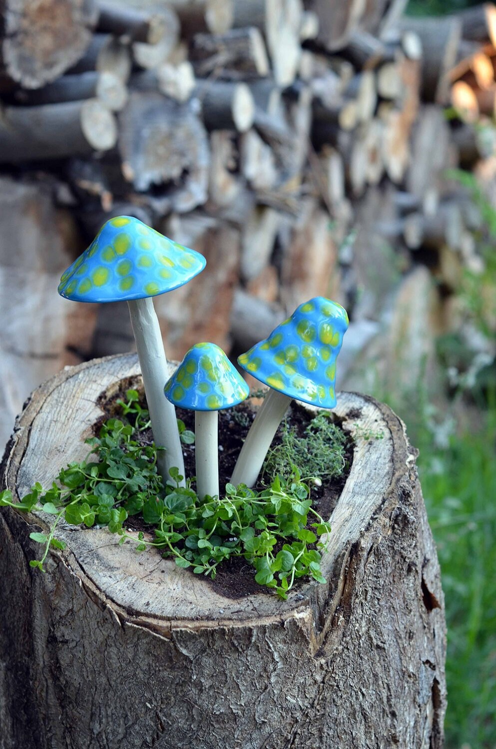 Shroomyz – Funtasmic Collection – Robin's Egg - Image 2 of 5 | Garden Decor