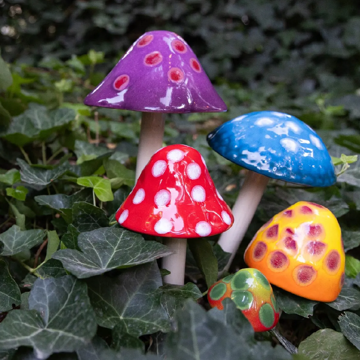 Shroomyz – Gumdrop Collection – Variety Pack - Image 6 of 7 | Garden Decor