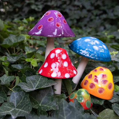 Shroomyz – Gumdrop Collection – Variety Pack - Image 6 of 7 | Garden Decor