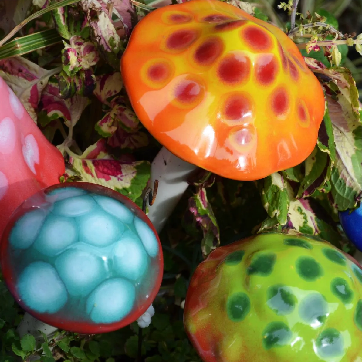 Shroomyz – Gumdrop Collection – Variety Pack - Image 7 of 7 | Garden Decor