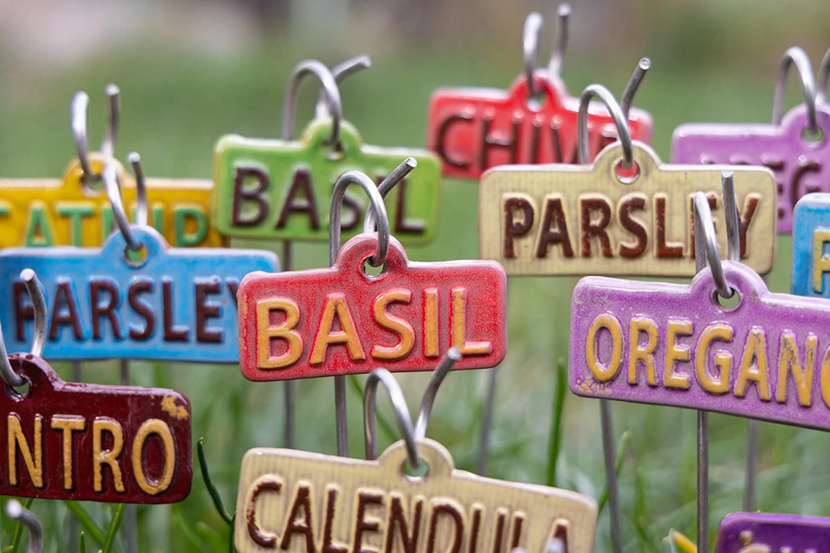Garden Markers – Herbs - Image 5 of 5 | Garden Decor
