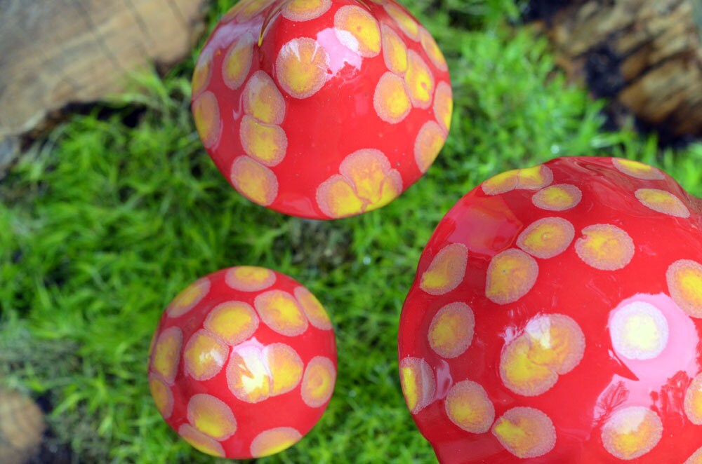 Shroomyz – Funtasmic Collection – Sunburst - Image 2 of 5 | Garden Decor