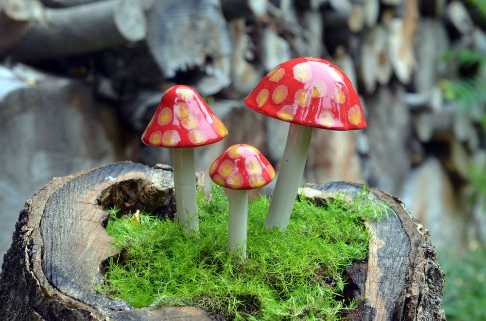 Shroomyz – Funtasmic Collection – Sunburst - Image 1 of 5 | Garden Decor