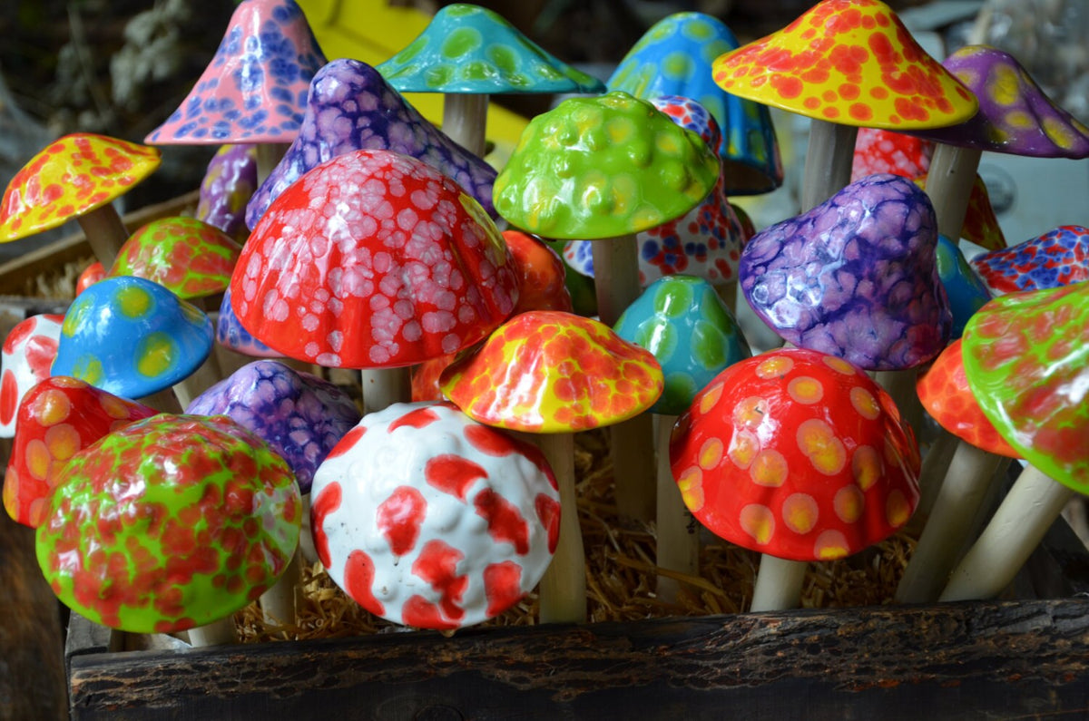 Shroomyz – Funtasmic Collection – Sunburst - Image 5 of 5 | Garden Decor
