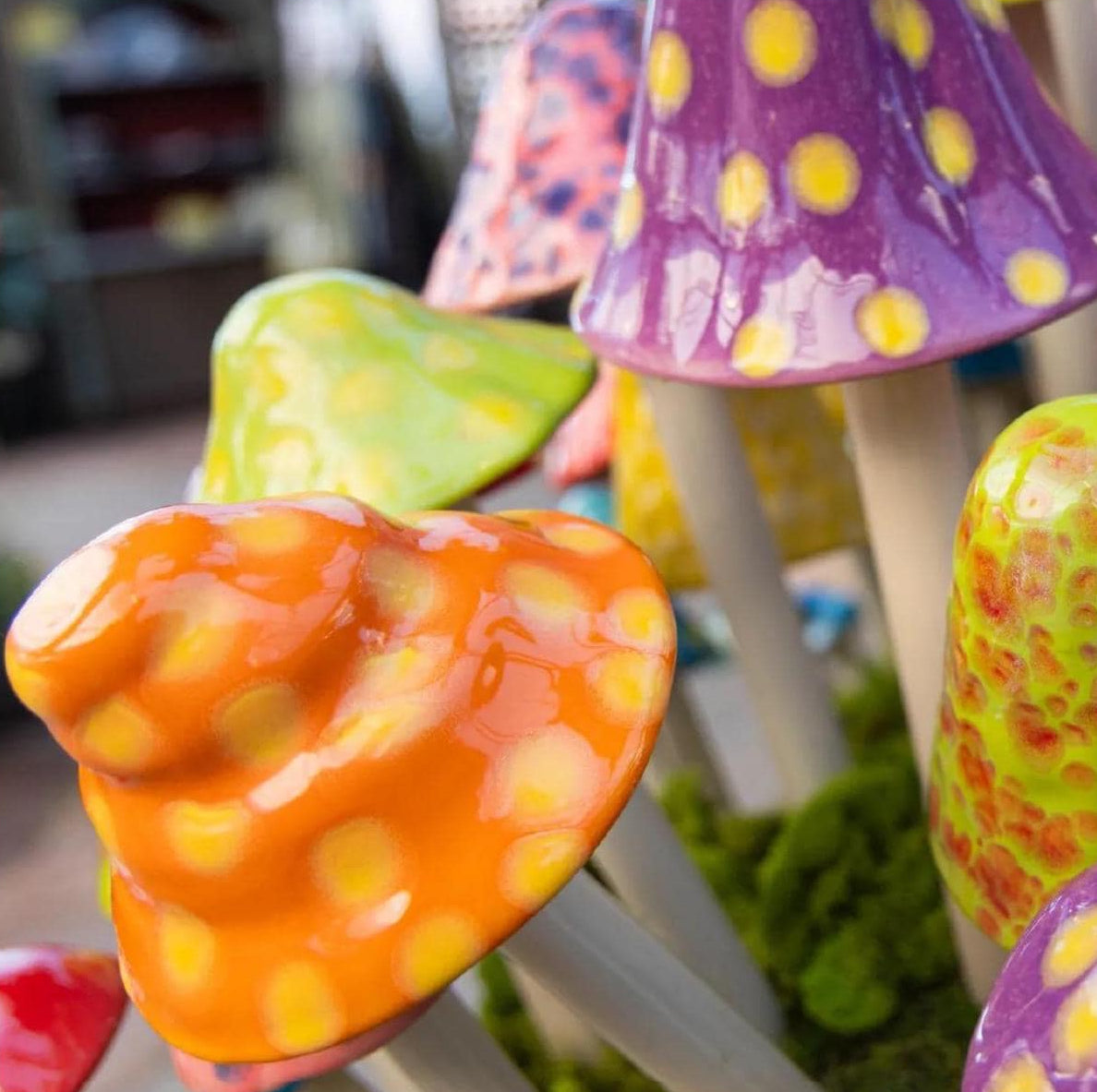 Shroomyz – Funtasmic Collection – Variety Pack - Image 4 of 8 | Garden Decor