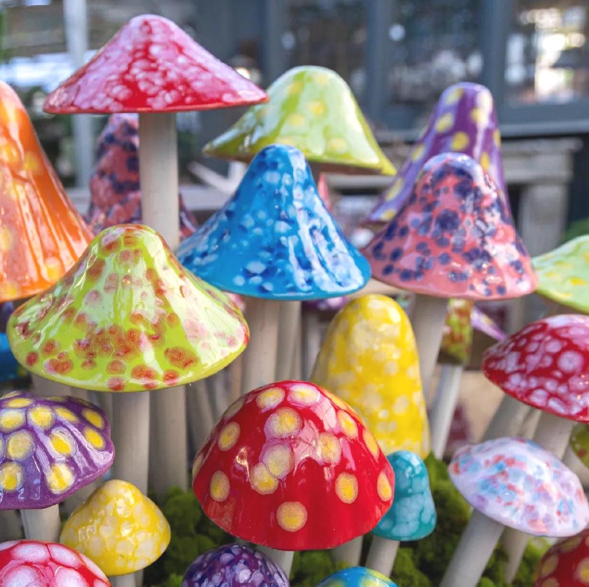 Shroomyz – Funtasmic Collection – Variety Pack - Image 5 of 8 | Garden Decor