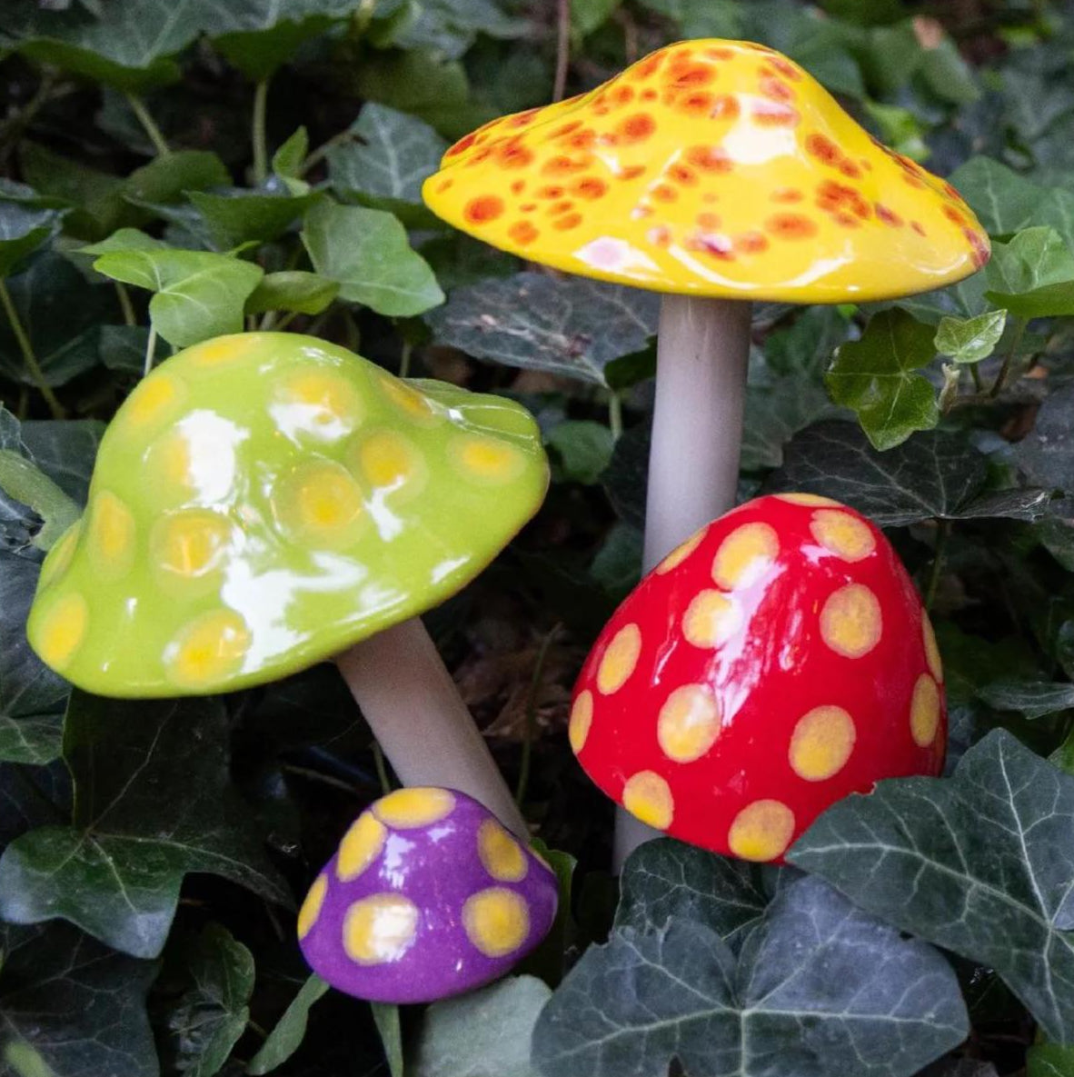 Shroomyz – Funtasmic Collection – Variety Pack - Image 6 of 8 | Garden Decor