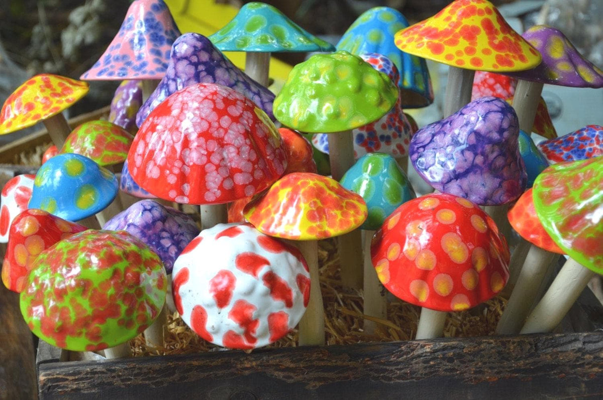 Shroomyz – Funtasmic Collection – Variety Pack - Image 7 of 8 | Garden Decor