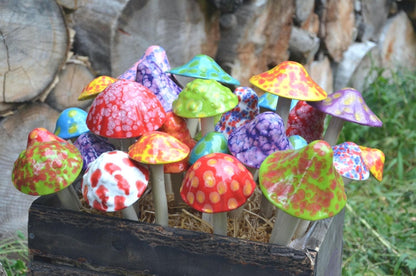 Shroomyz – Funtasmic Collection – Variety Pack - Image 8 of 8 | Garden Decor