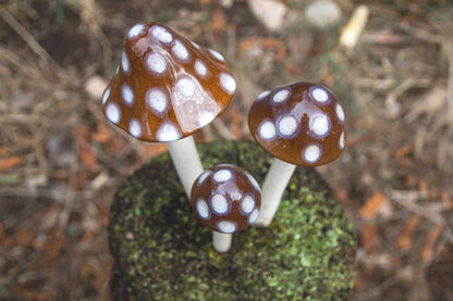 Shroomyz – Natural Collection – Toasty Mallow - Image 1 of 8 | Garden Decor