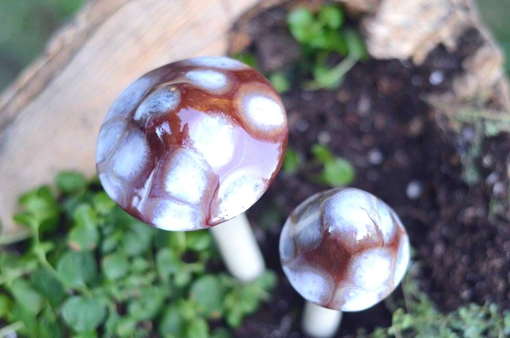 Shroomyz – Natural Collection – Toasty Mallow - Image 4 of 8 | Garden Decor