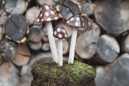 Shroomyz – Natural Collection – Toasty Mallow - Image 3 of 8 | Garden Decor