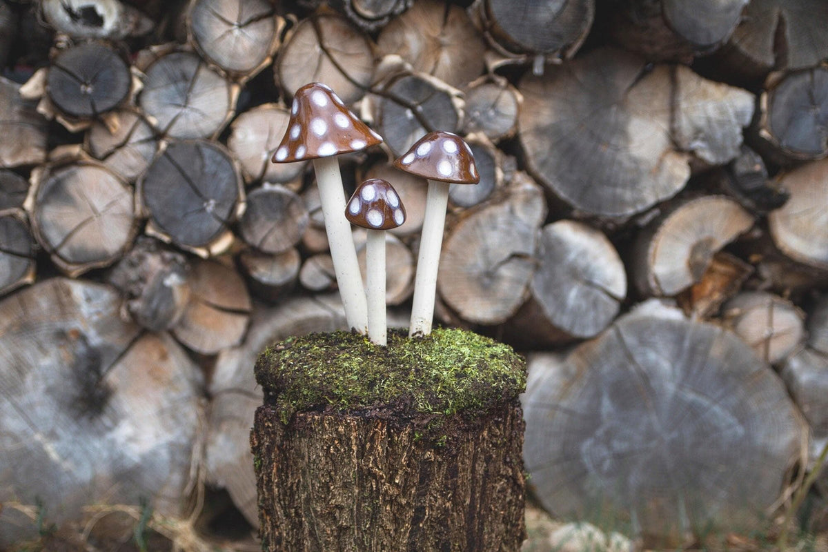 Shroomyz – Natural Collection – Toasty Mallow - Image 2 of 8 | Garden Decor